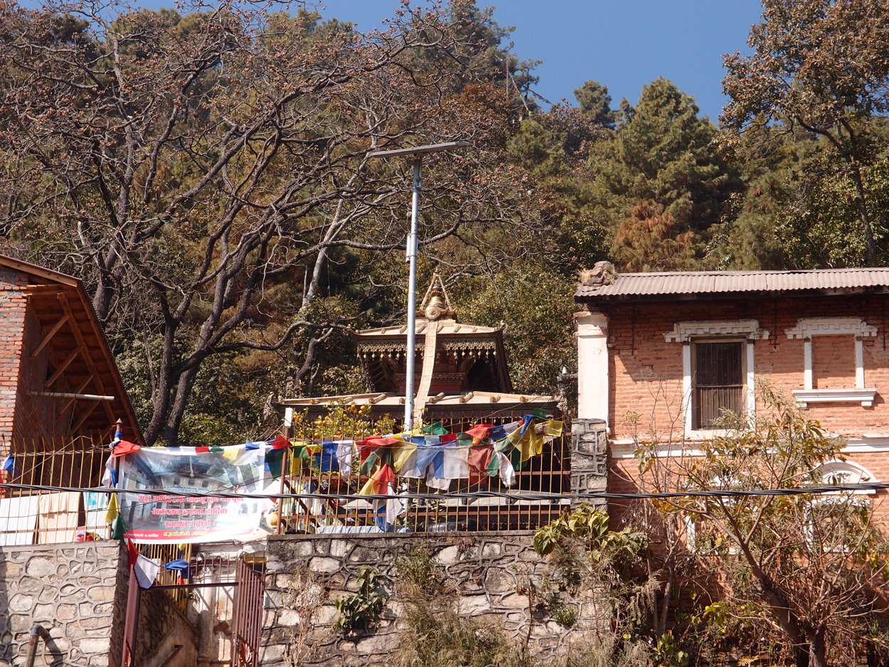 2018-01-23 10 Uhr - Pharping (Audio, Foto, Video) 